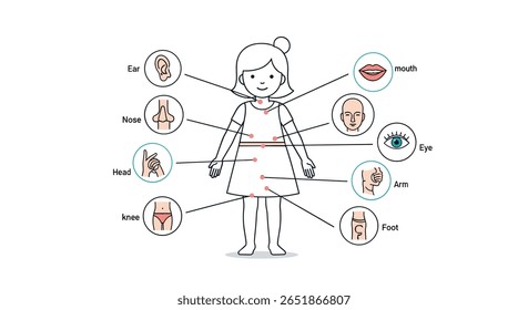 Um Guia Visual Detalhado para Anatomia Humana e Identificação de Partes do Corpo para Aprendizagem de Crianças