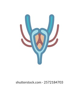 Detailed Vomer Anatomy Vector Design