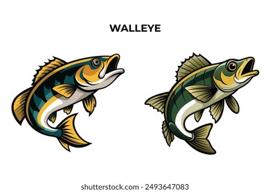 Detailed Walleye fish vector illustration. Perfect for culinary, marine, and environmental designs. High-quality vector for easy customization. Ideal for menus, packaging, education, and web graphics.