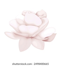 Detailed watercolor flower illustration, Elegant watercolor spring flower.