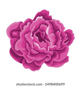 Detailed watercolor flower illustration, Elegant watercolor spring flower.