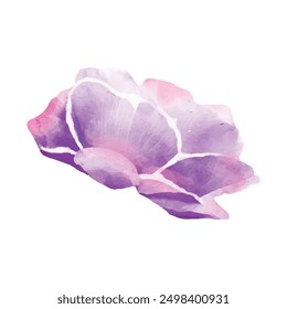 Detailed watercolor flower illustration, Elegant watercolor spring flower.