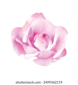 Detailed watercolor flower illustration, Elegant watercolor spring flower.