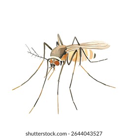 A detailed watercolor-style illustration of a mosquito, showcasing its segmented body, long legs, and delicate wings.