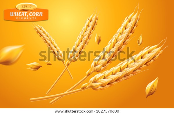黄色い背景に細かい小麦の耳 オート麦 大麦 天然成分エレメント 健康な食べ物 農業 パン 作物のテーマ ベクター画像のリアルな3dイラスト のベクター画像素材 ロイヤリティフリー 1027570600
