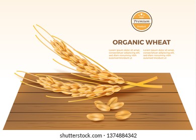 detailed wheat vector on wooden table with infographic