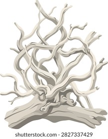Detailed white coral branch structure isolated on pure white background. Perfect for marine biology projects, aquarium design, and nature concept layouts with ample copy space.