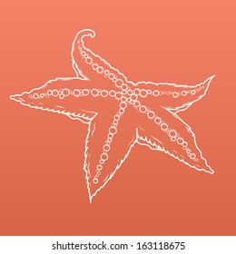 Detailed white outlines of starfish isolated on orange background. Sea star. Vector illustration.