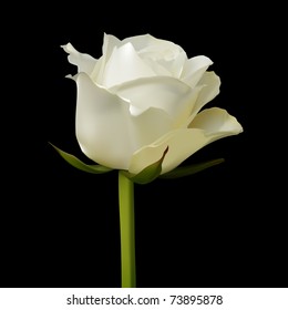Detailed white vector rose on a black background