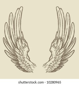 Detailed Wings