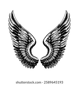 Detailed Wings Illustration: Black and White Vector Design