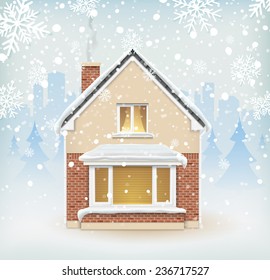 Detailed winter house on snowy background. Vector illustration