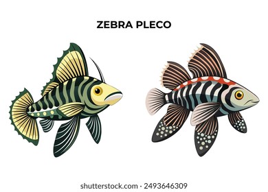 Detailed Zebra Pleco fish vector illustration. Perfect for culinary, marine, and environmental designs. High-quality vector for easy customization. Ideal for menus, packaging, education, and web graph