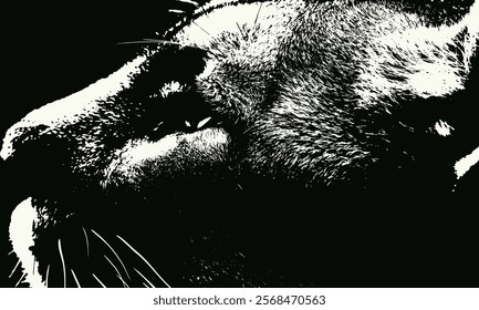 Details of a cat's face, highlighting its fur, eyes, and whiskers,  high-contrast black and white illustration