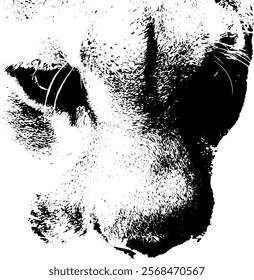 Details of a cat's face, highlighting its fur, eyes, and whiskers,  high-contrast black and white illustration