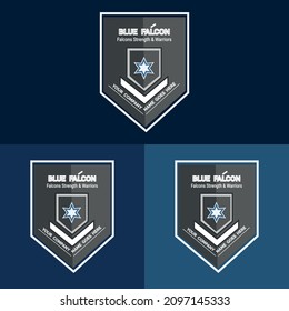 Detective badge blue falcon with various blue background