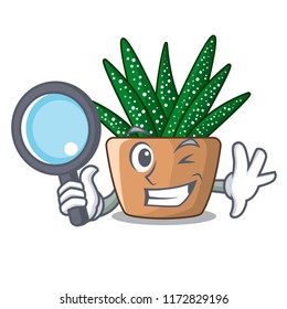 Detective character small zebra cactus plant on pot