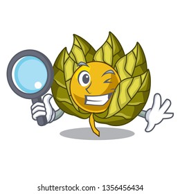 Detective physalis fruit in the mascot fridge