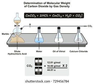 Determination of Molecular Weight of Carbon Dioxide by Gas Density infographic diagram showing a laboratory experiment with formula and calculation for chemistry science education