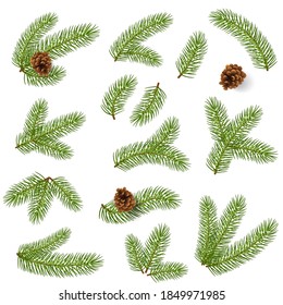 Detiled and realistic set of Christmas tree branches. Symbol and design elements vector collection for Christmas and New Year design.