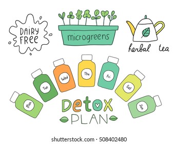 Detox bottles set with fruits and vegetables. Cute micro greens garden bed