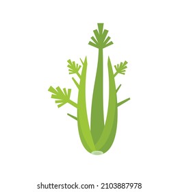 Detox celery icon. Flat illustration of detox celery vector icon isolated on white background