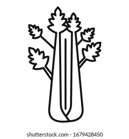 Detox celery icon. Outline detox celery vector icon for web design isolated on white background