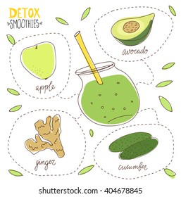 Detox diet. Hand drawn vector illustration of green detox smoothies. Illustration of green detox smoothie recipe with ingredients. Avocado, cucumber, apple, ginger cocktail . Smoothies for fitness