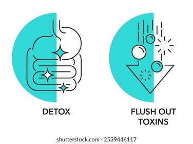 Desintoxicação e Flush Out Toxinas conjunto de ícones planos - rotulagem de suplemento alimentar, em linha fina e forma semicircular 