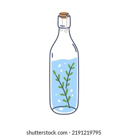 Detox infused water with rosemary leaf. Carbonated aromatic aqua drink in glass bottle closed with cork. Summer soda refreshment. Lineart flat vector illustration isolated on white background
