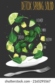 Detox spring salad with cucumber, spinach, broccoli, avocado and lime. Vector illustration