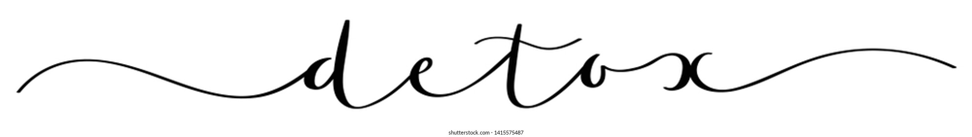 DETOX vector brush calligraphy banner with swashes