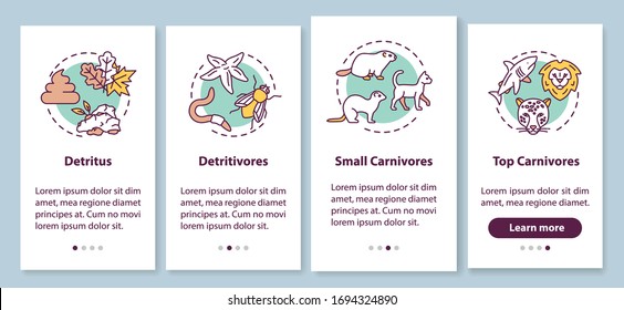 Detritus food chain onboarding mobile app page screen with concepts. Biological process, nature life cycle walkthrough 4 steps graphic instructions. UI vector template with RGB color illustrations