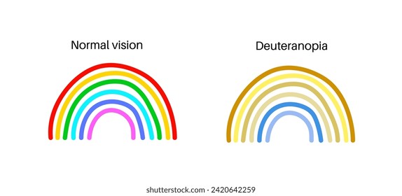 Deuteranopia and normal vision, color blindness infographic. Human vision deficiency concept. Difference between colors, brightness and intensity of shades flat vector illustration