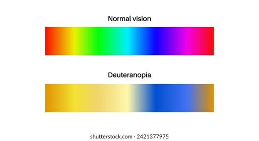 Deuteranopia and normal vision, color blindness infographic. Human vision deficiency concept. Difference between colors, brightness and intensity of shades flat vector illustration