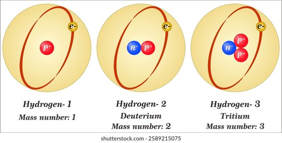 deuteron, nucleus of deuterium (heavy hydrogen) that consists of one proton and one neutron.