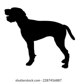  deutsch drathaar dog silhouette. Vector dog breeds