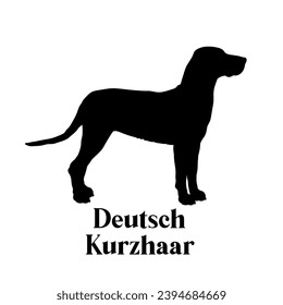 Deutsch Kurzhaar Dog silhouette dog breeds logo dog monogram logo dog face vector