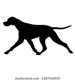 Deutsche Dogge runs  dog silhouette. Vector dog breeds