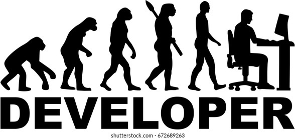 Developer evolution