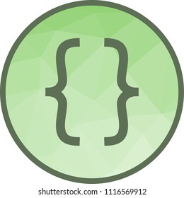 Developer options Icon