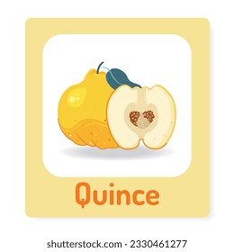 Developing cards for children with ripe, yellow quince. Fruit alphabet. Preschool education. Vector illustration.