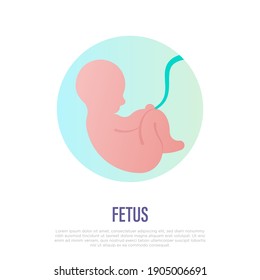 Development of fetus in uterine. Gynecology, reproductive. Flat gradient icon. Vector illustration.