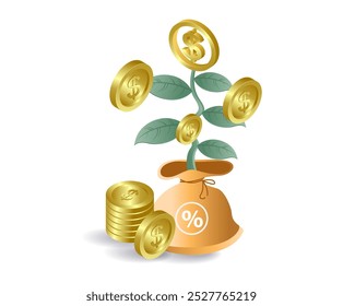 The development of money plants