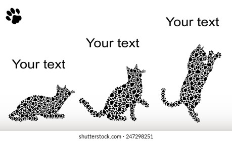 The development of the movement one cat in the attack on the stimulus are shown with an image of three cats from traces