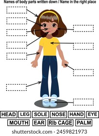Developmental exercise: learning the names and locations of human body parts and writing them in the right place Suitable for primary school age Vector