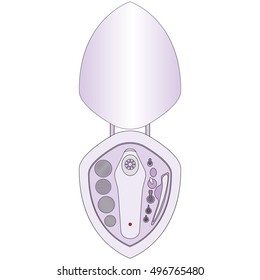 device for manicure. hardware manicure. apparatus for pedicure