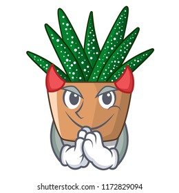 Devil cartoon zebra cactus blooming in garden