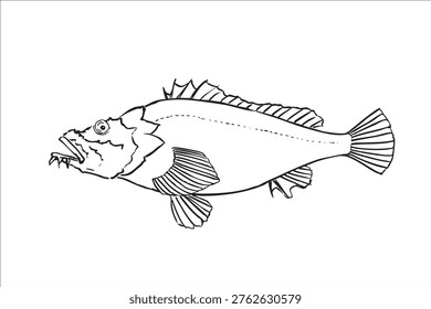 Devil stinger fish illustration in ink brush style, detailed line art vector, poisonous marine fish for educational use
