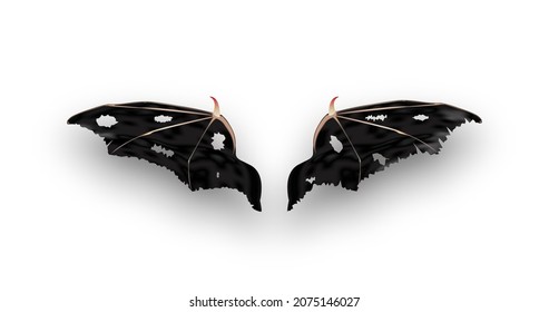Devil wings with shadow on gray background. Vector.